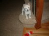 DSCF0060.JPG