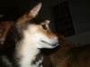 DSCF0063.JPG