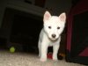 DSCF0067.JPG