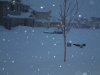 DSCF0037.JPG
