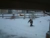 DSCF0024.JPG