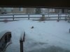 DSCF0025.JPG