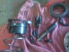 IMG00173.jpg