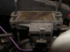 DSC08818.JPG