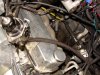 DSC08830.JPG