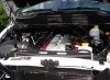 Viper Engine - Copy (800x587).jpg