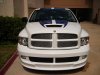 Viper Head on - Copy (800x600).jpg