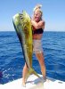 dorado.jpg