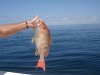 DSC00725.JPG