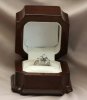 PLATINUM MARQUE RING 031.jpg