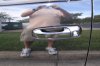 DSC00646.JPG