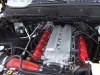 2010 panama gtg 148.jpg