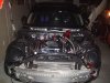 NEW PICS2 003.jpg