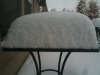 Snow Dec. 1, 2010.JPG