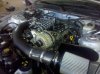IMG_20101108_154620.jpg