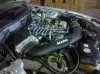 IMG_20101108_154704.jpg