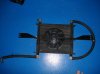 DSC00177.jpg