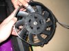DSC00179.jpg