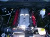 Truck pics 006.jpg