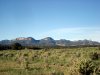 DSC00349.JPG