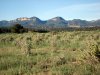 DSC00350.JPG