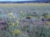 DSC00359.JPG