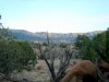 DSC08232.JPG