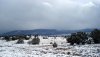 DSC08893.JPG