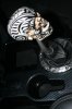 small_IMG_6195.JPG