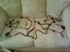 IMG00017-20110801-1912.jpg