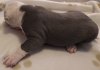 DSCF7566.JPG