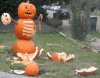 pumpkin%20scare.jpg