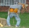 pumpkin-carving-4.jpg