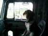 srt-10 pics 007.jpg