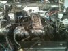 image-4020405921.jpg