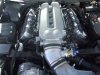 viper pics 10-09 030.jpg