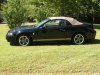 Mustang side 1.jpg