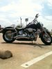 harleyforsale2.JPG