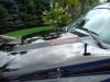 DSC00072.JPG