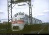 Locomotive 164.jpg