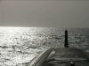 ImageUploadedByTapatalk1364585980.685617.jpg