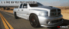 yhst-11161747262114_2265_1010900877.gif