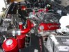 DSC00066.jpg