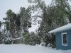 Picture 015.jpg