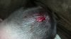 IMG_20130403_232248_915.jpg