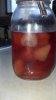 IMG_20130326_183432_646.jpg