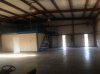 IMG_0241.jpg