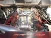 DSC09694.jpg