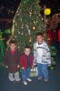 dcp_4502tree.JPG