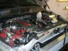 MYSRT%20003.jpg